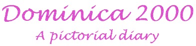 Dominica 2000