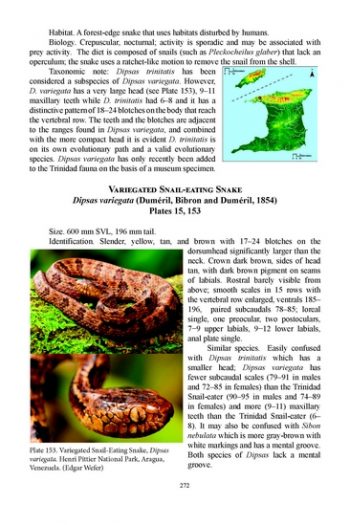 A Field Guide To The Amphibians & Reptiles Of Trinidad And Tobago - The ...